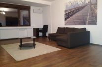 Central-Parc Cismigiu apartament de 2 camere cu centrala