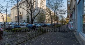 Bdul Dinicu Golescu/Gara de Nord – apartament 2 camere mobilat si utilat!