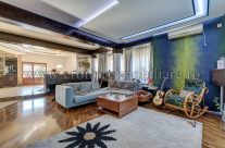 Popesti Leordeni, central, vila S+P+E+M mobilata si utilata lux!