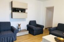 Camil Ressu  – vanzare apartament 3 camere ! Renovat !