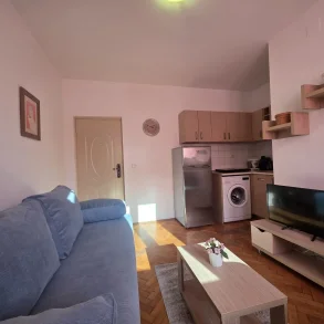 ROMANA – Garsonieră cochetă de închiriat – fix în centrul acțiunii ! Centrala!